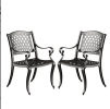 CAYMAN ARCH MESH I CHAIR(set of 2)